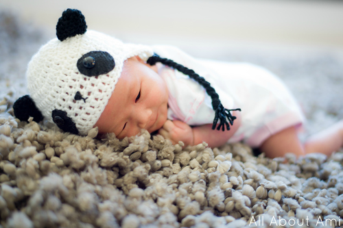 Crochet Baby Panda Outfit