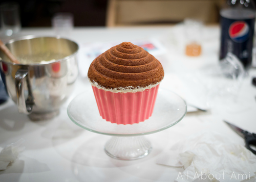 Giant Birthday Cupcake All About Ami