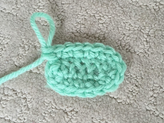 How to Crochet Around a Foundation Chain (How to Crochet an Oval)