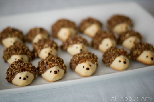 Woodland Creature Birthday Party Hedgehog Cookies