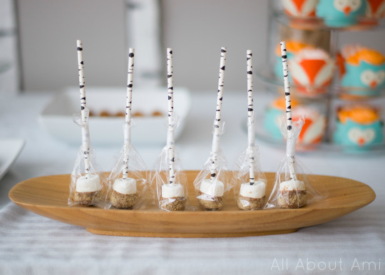 Woodland Creature Birthday Party S'more Pops