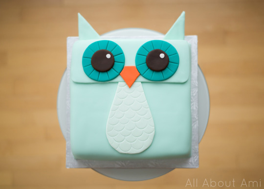 Owl Fondant Cake