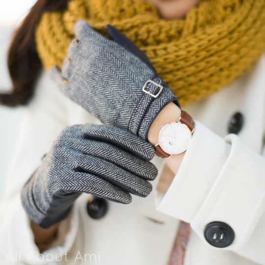 Verkeerd Ideaal grind Daniel Wellington Watches II - All About Ami