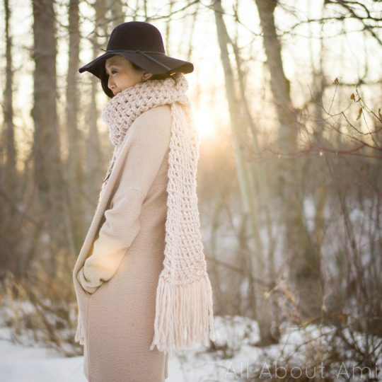 Crochet Moss Fringe Scarf