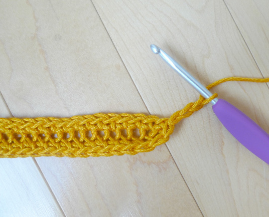 Crochet Star Stitch Pouch