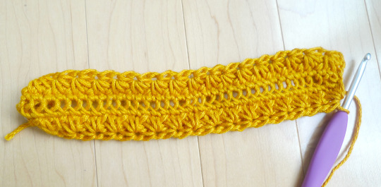 Crochet Star Stitch Pouch