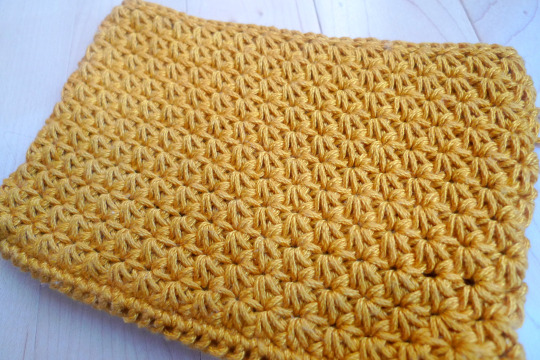 Crochet Star Stitch Pouch