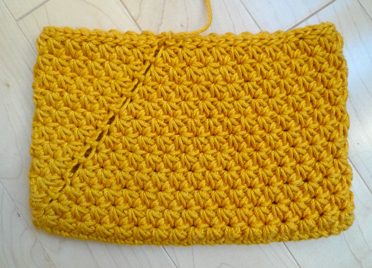 Crochet Star Stitch Pouch