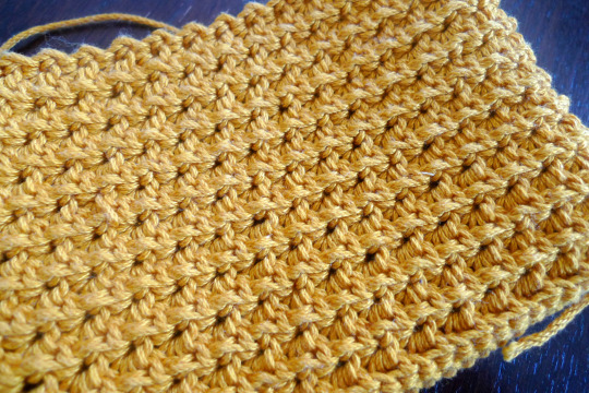 Crochet Star Stitch Pouch