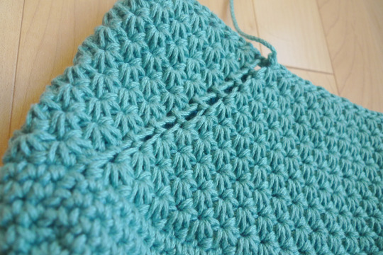 Crochet Star Stitch Pouch