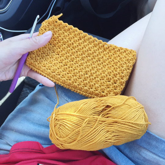 Crochet Star Stitch Pouch