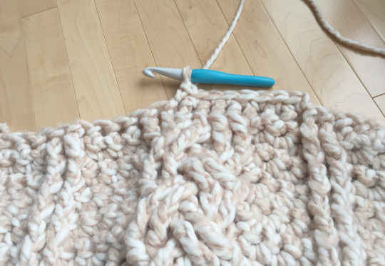 Chunky Braided Cabled Blanket