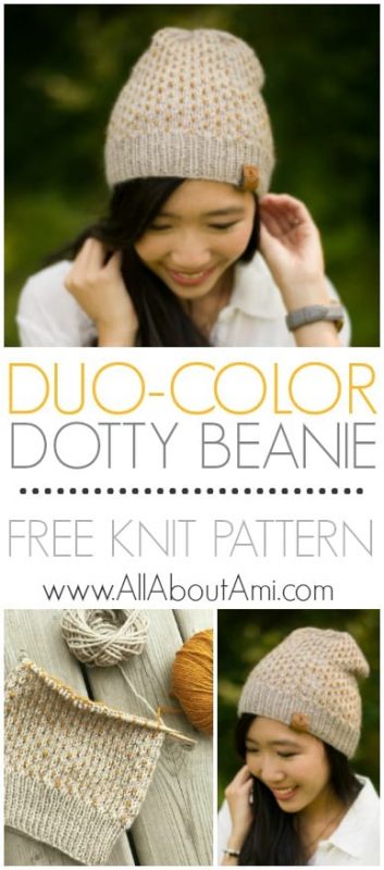 Duo-Color Dotty Beanie Knit Pattern